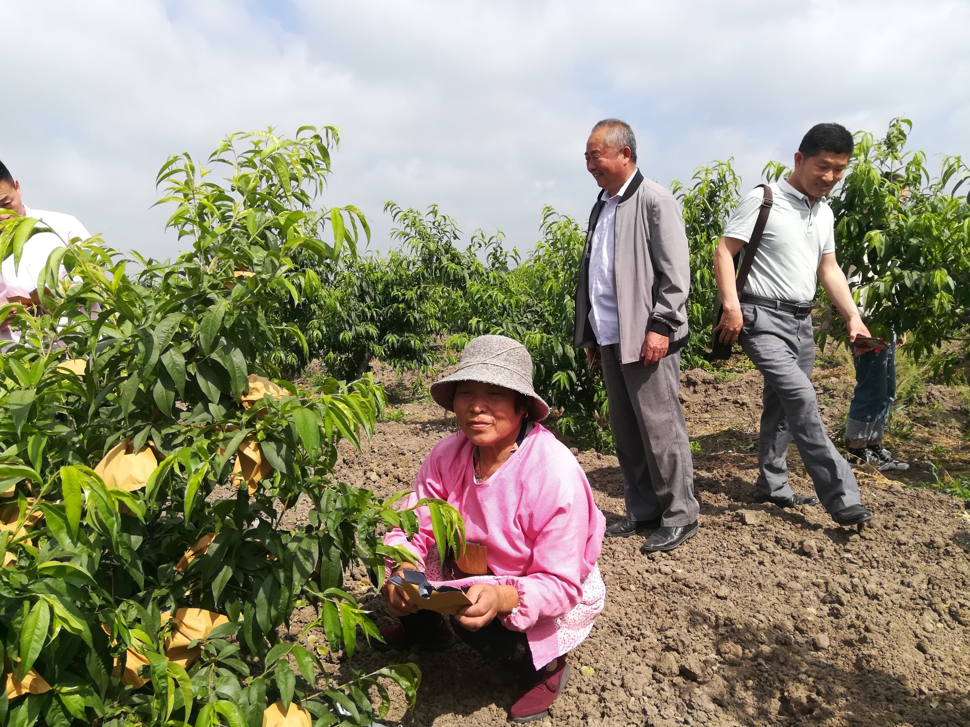 ���վW��Ӎ �ɳǿh����悶�벢�e�θF��(�D��)